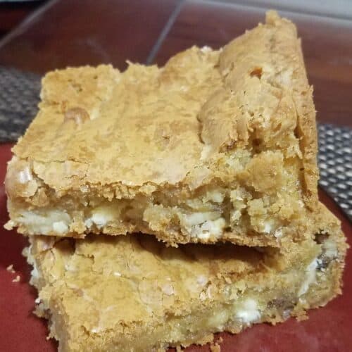 Homemade Blondie