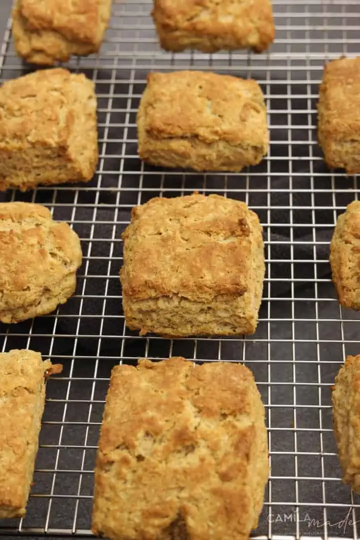 Healthy 100% Whole Wheat Biscuits 3