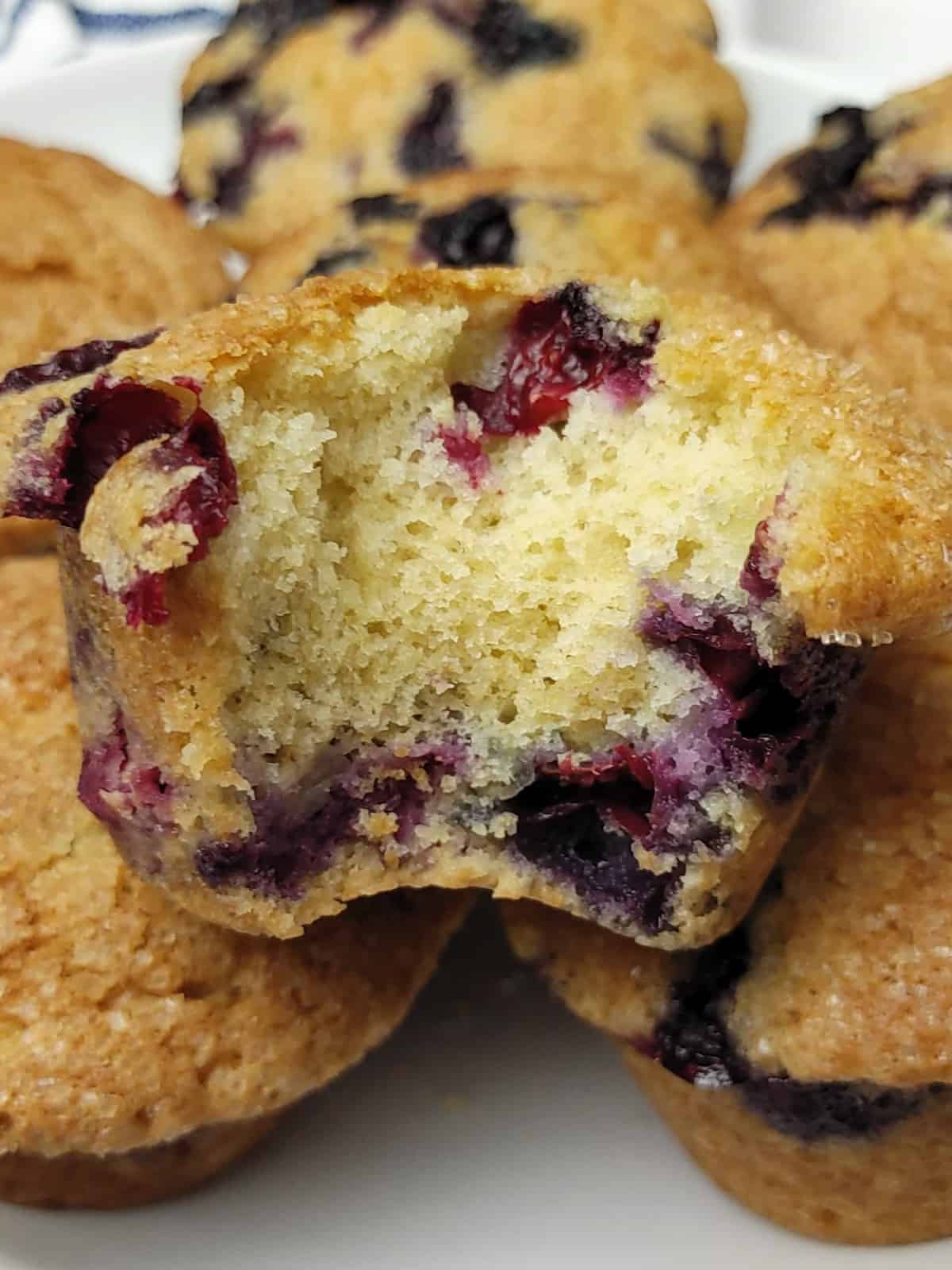 Blueberry Muffins
