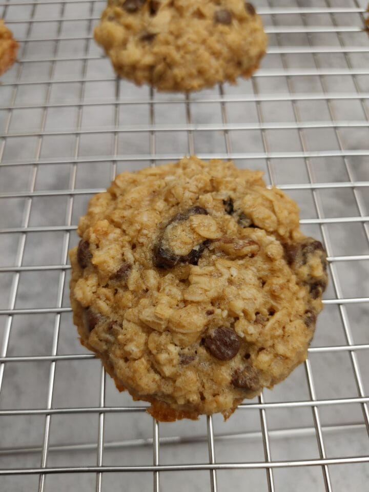 The Best Homemade Oatmeal Raisin Cookies