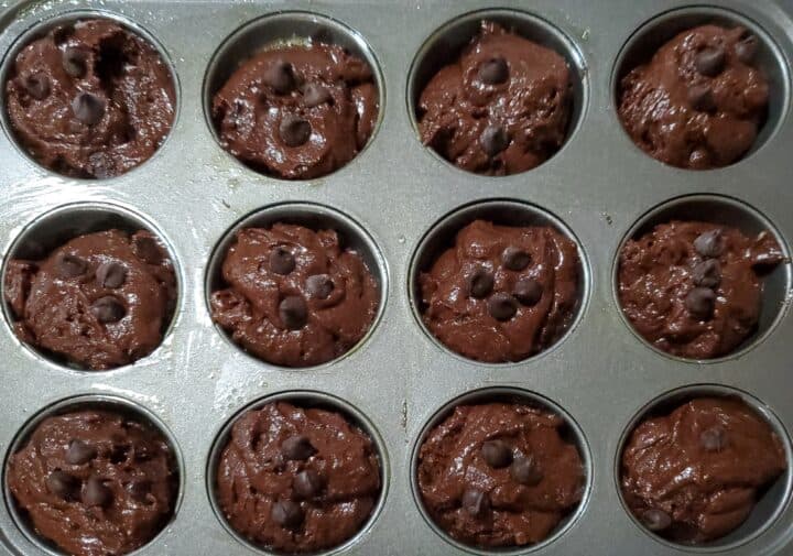 The Best Whole Wheat Chocolate Muffins