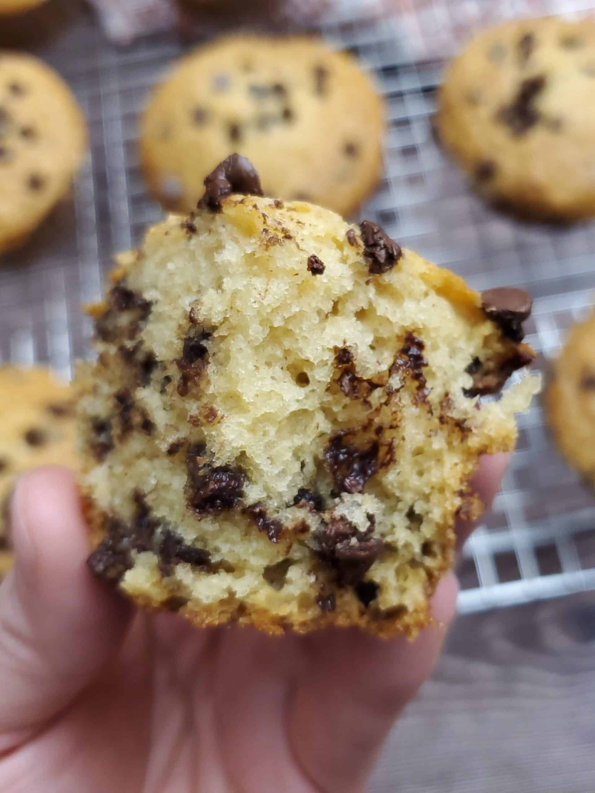 CHOCOLATE CHIP MUFFINS