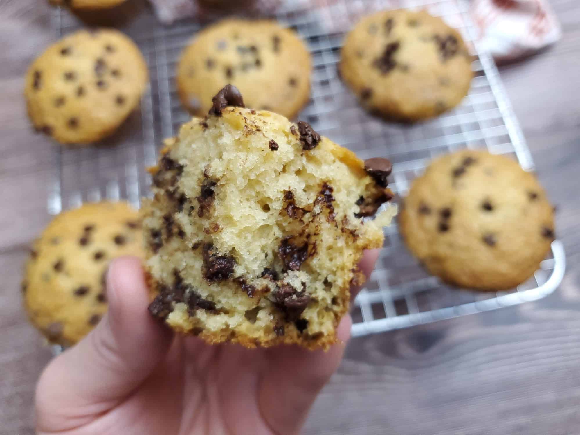 Chocolate Chip Muffins 11 Easy and Quick Chocolate Chip Muffins