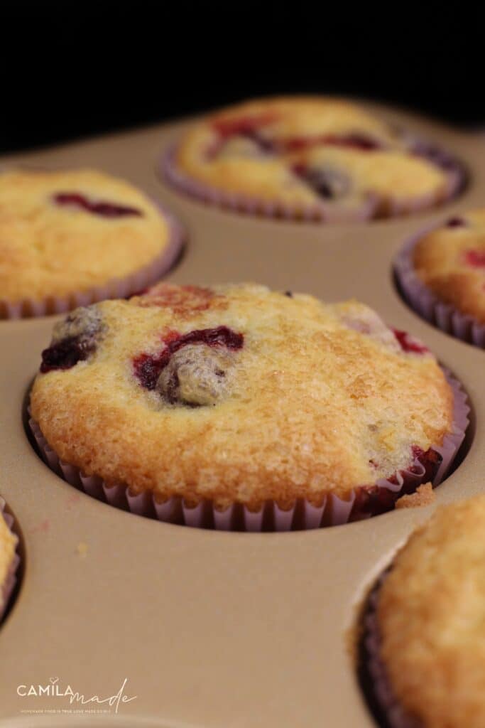 RECIPES 11 Homemade Orange Cranberry Muffins