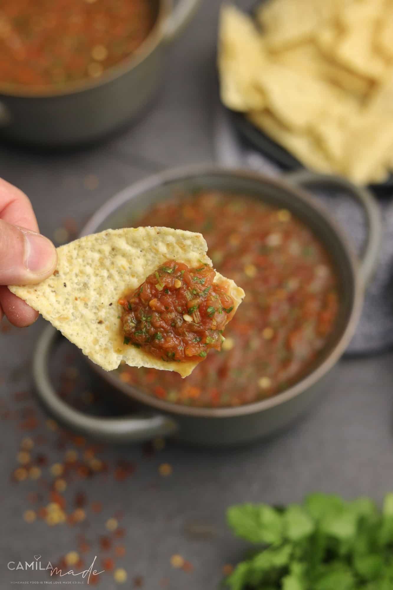 Homemade Salsa The Best Mexican Appetizer