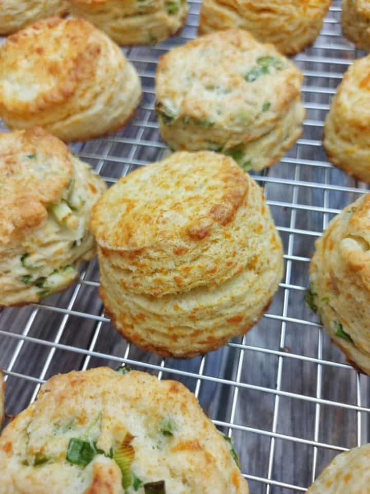 Easy Cheese Biscuits 2