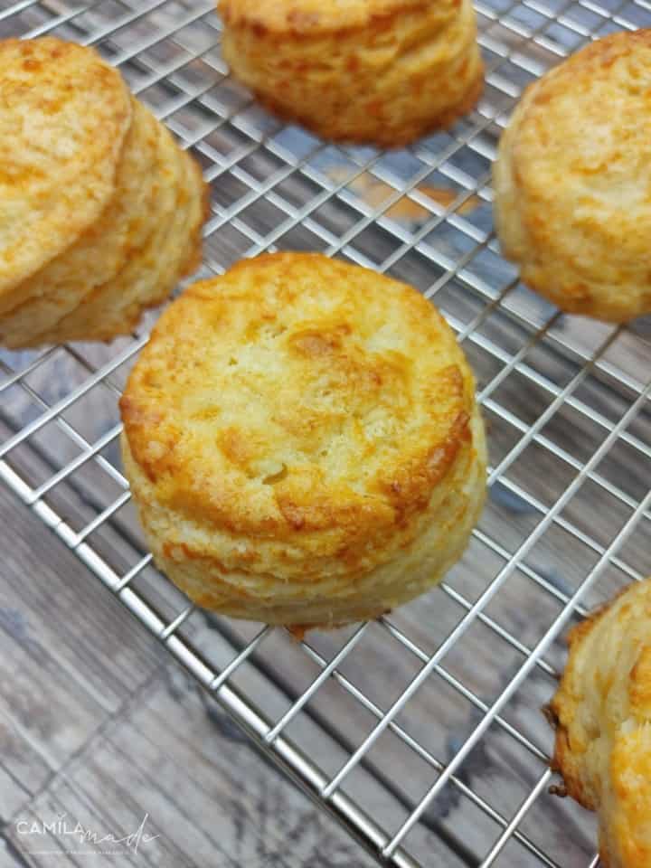 Cheese Biscuits: The Perfect Breakfast for Cheese Lovers!