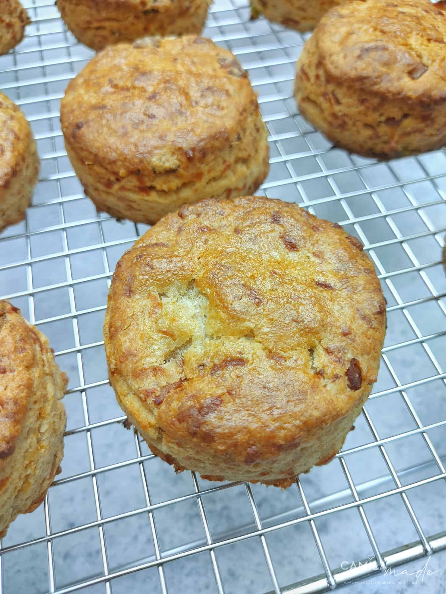 Ham and Cheese Biscuits : A Easy Combination for a Satisfying Breakfast! 24 The Best Ham and Cheese Biscuits 1