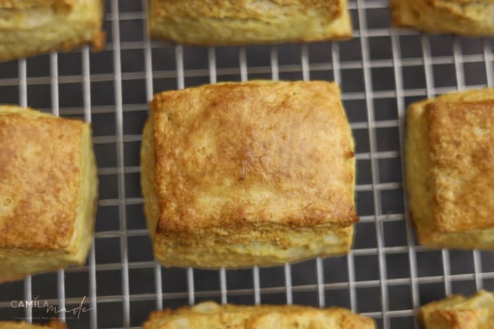 The Best Homemade Biscuits 11