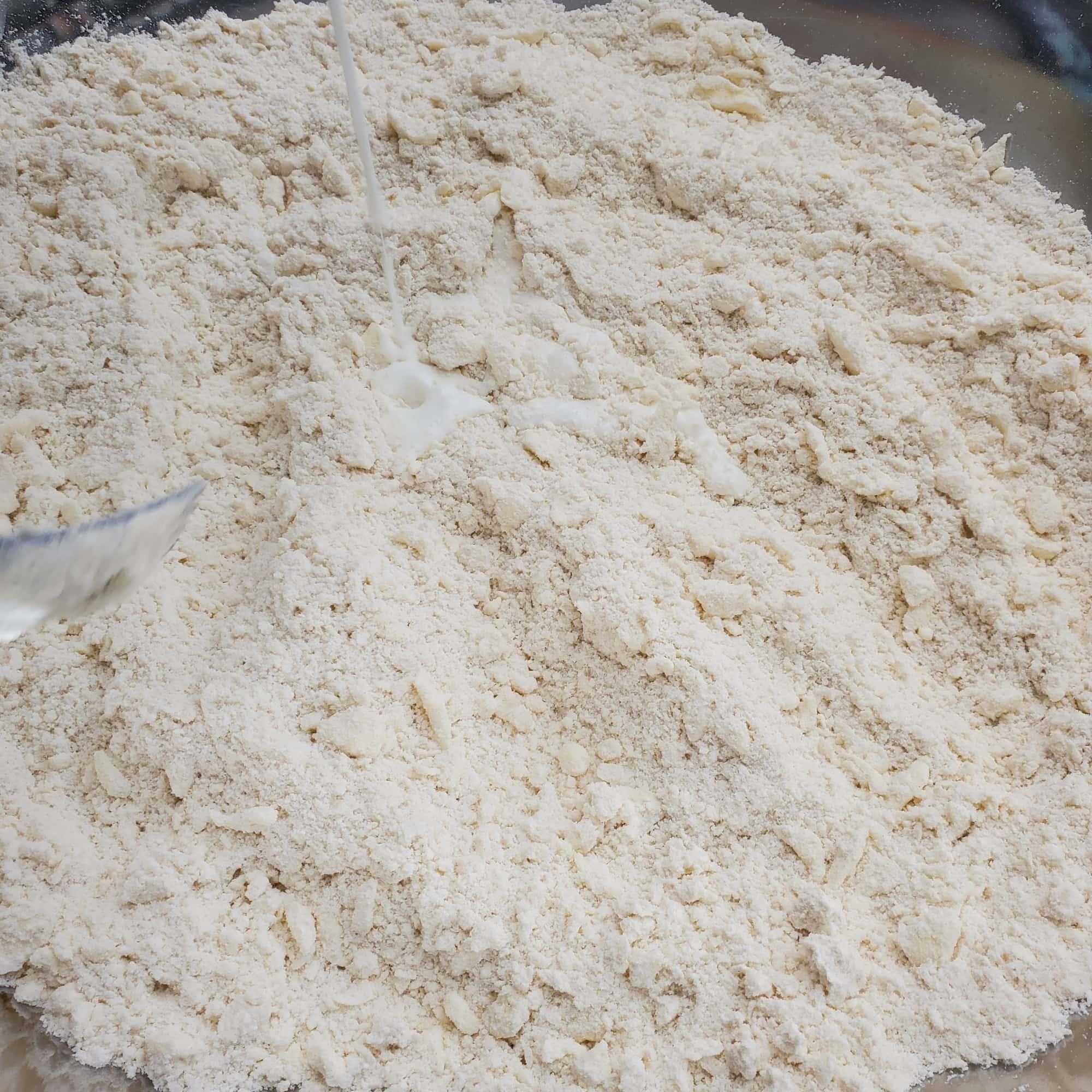 Buttermilk Biscuits 12 The Best Buttermilk Biscuits 4