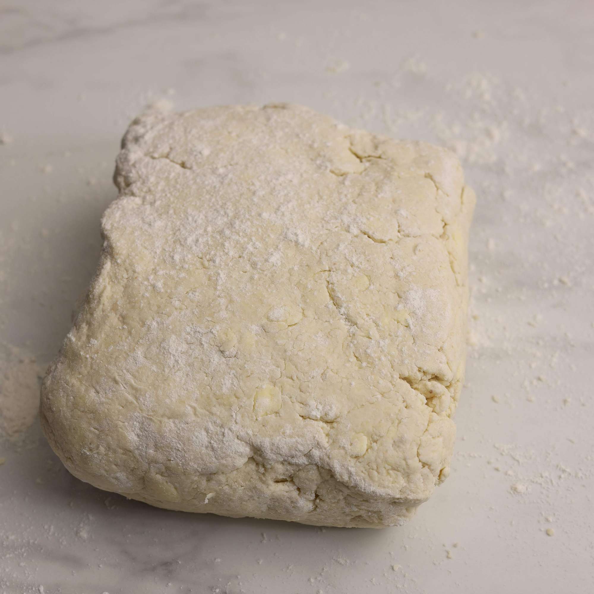 Homemade Biscuits: My Family's Favorite 14 The Best Homemade Buttermilk Biscuits 5