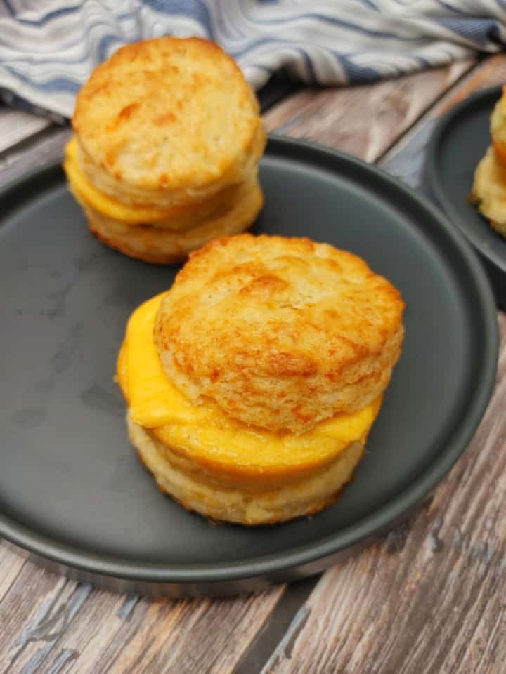 Sous Vide Egg Bites (No Machine Required) 13