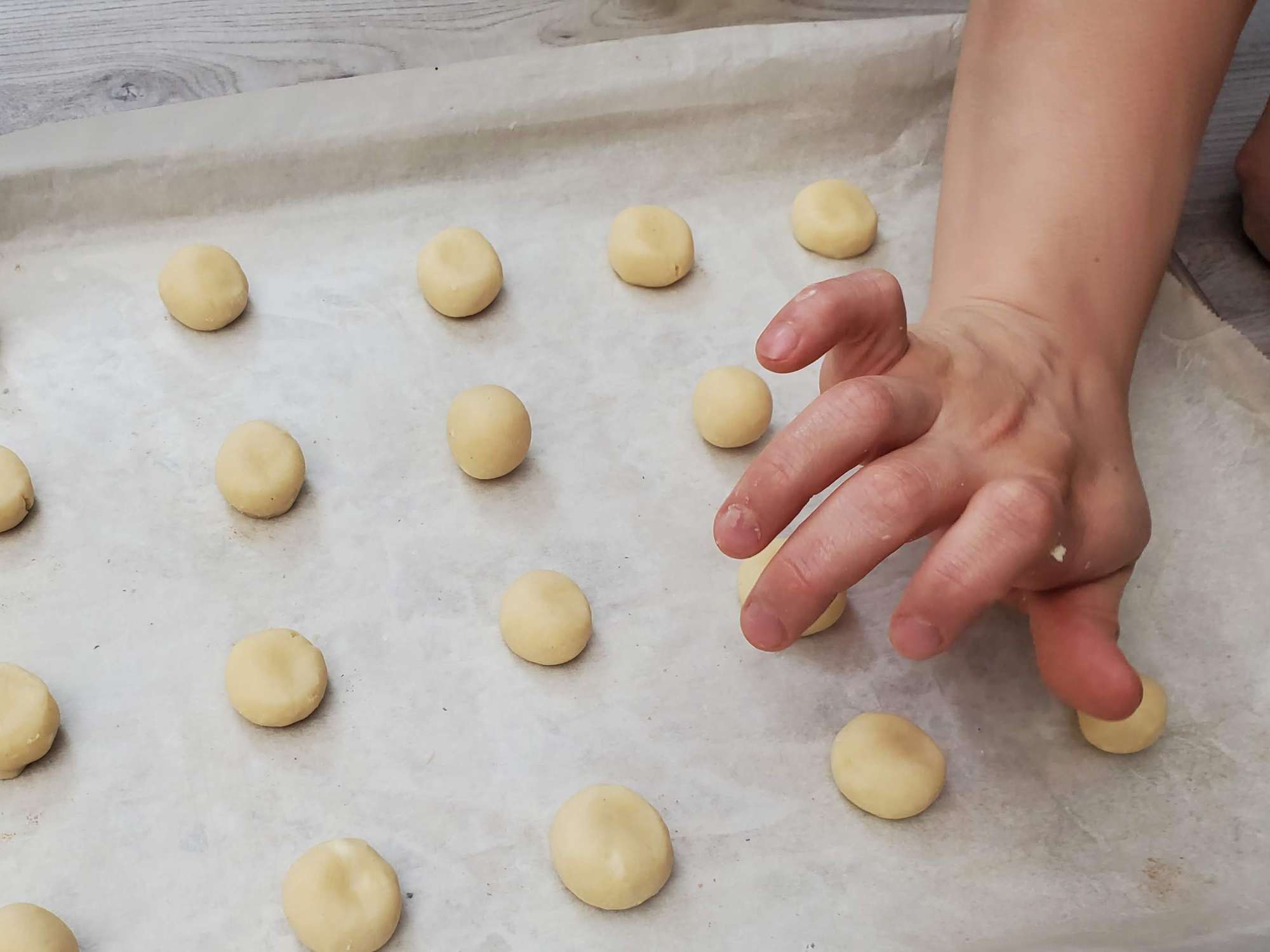 The Best Sugar Cookies 6