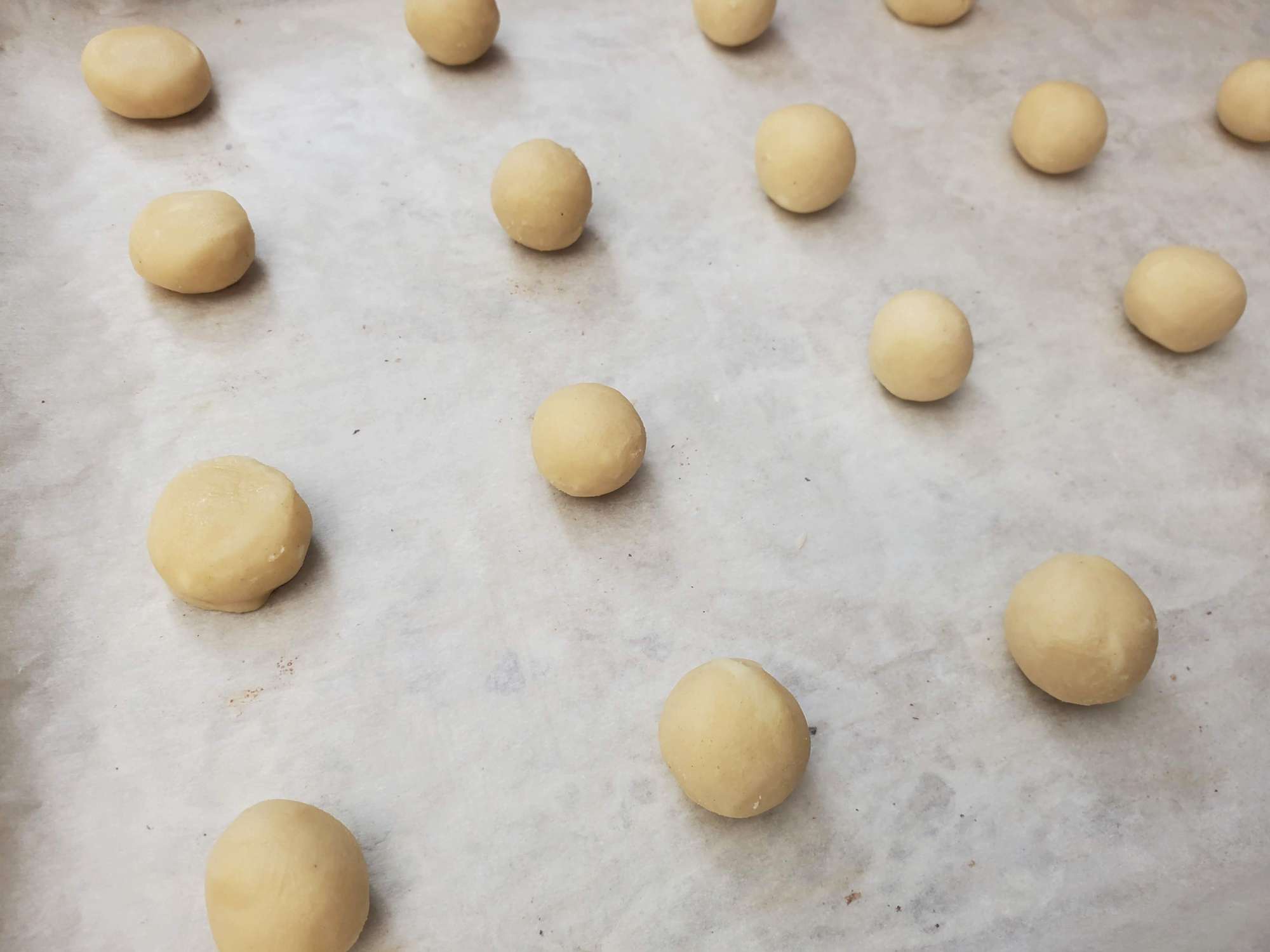 The Best Sugar Cookies 8