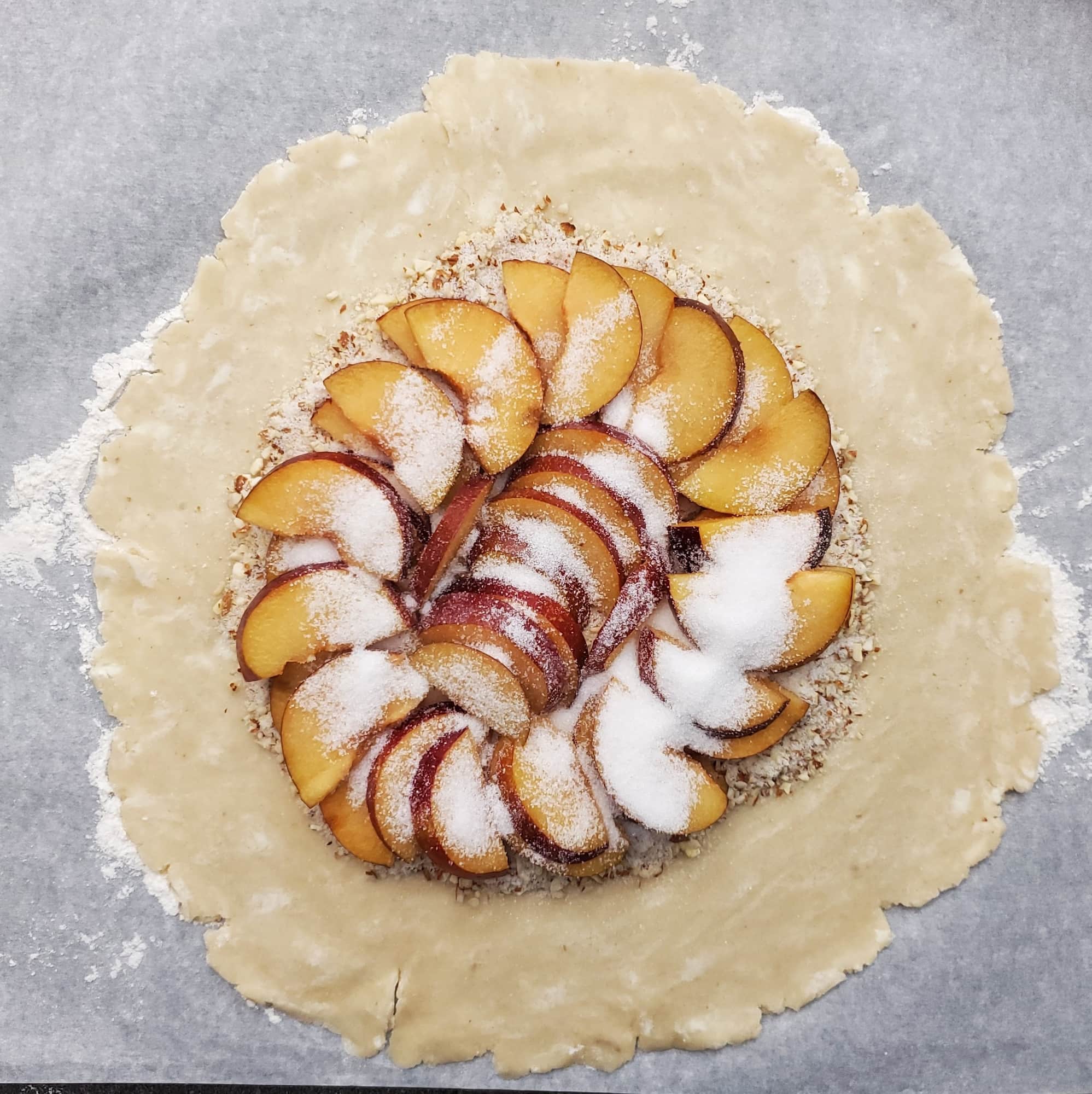 Plum Galette: A Perfect Rustic French Dessert 22 Plum Galette a Perfect Rustic French Dessert 8