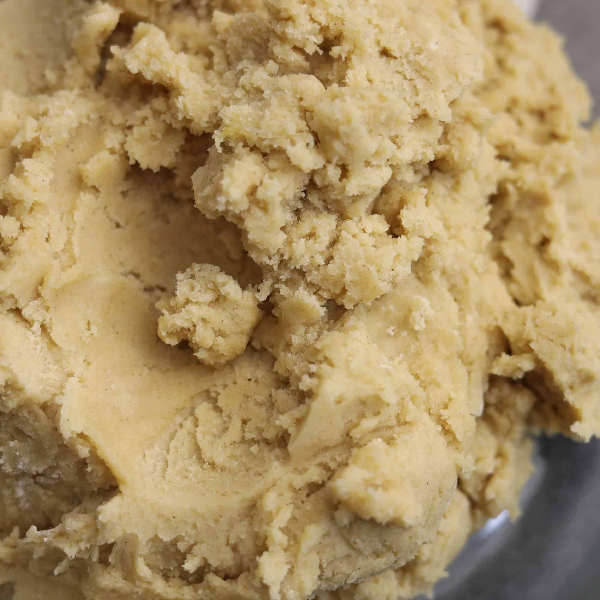 Snickerdoodles Cookies 8