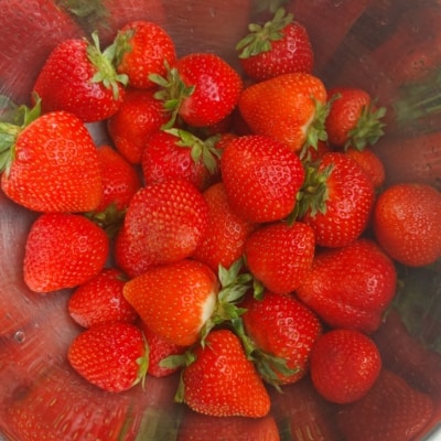 The Best Strawberry Cobbler 5