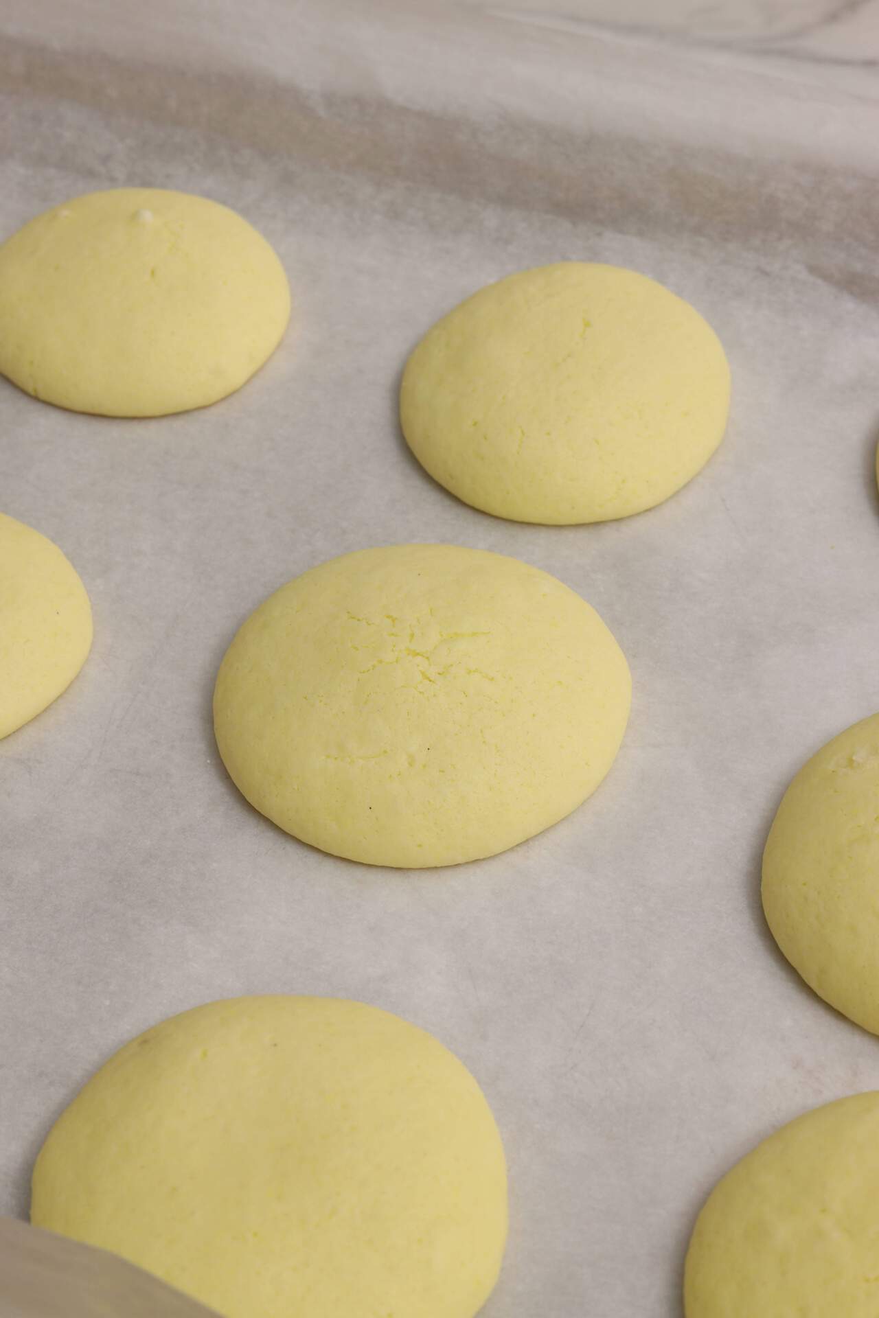 Alfajores The Best Cookies You'll ever eat 14