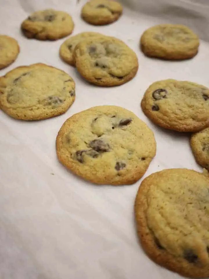 Coconut Chocolate Chip Cookies 2