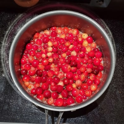 The Best Cranberry Apple Sauce 5
