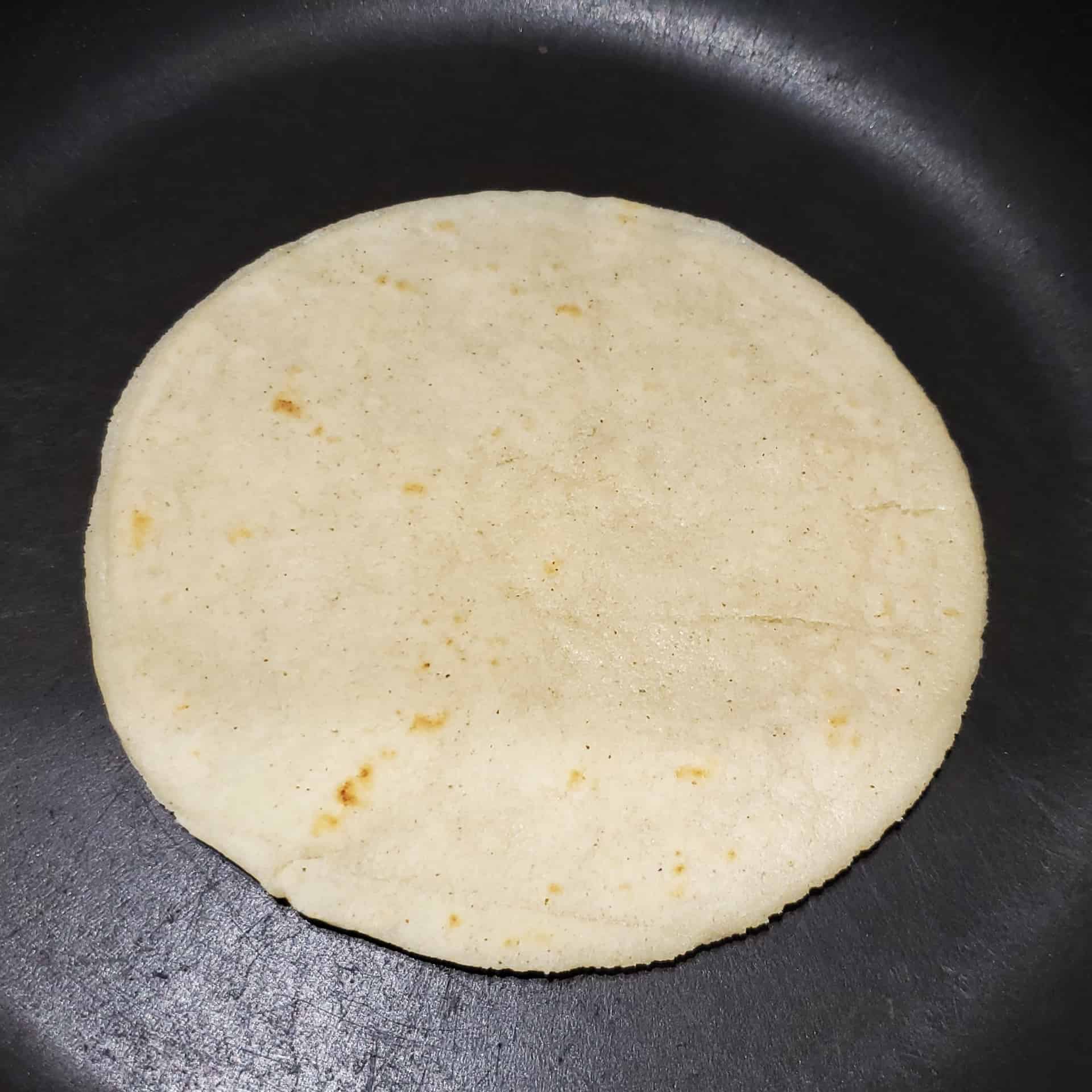 Homemade Corn Tortillas
