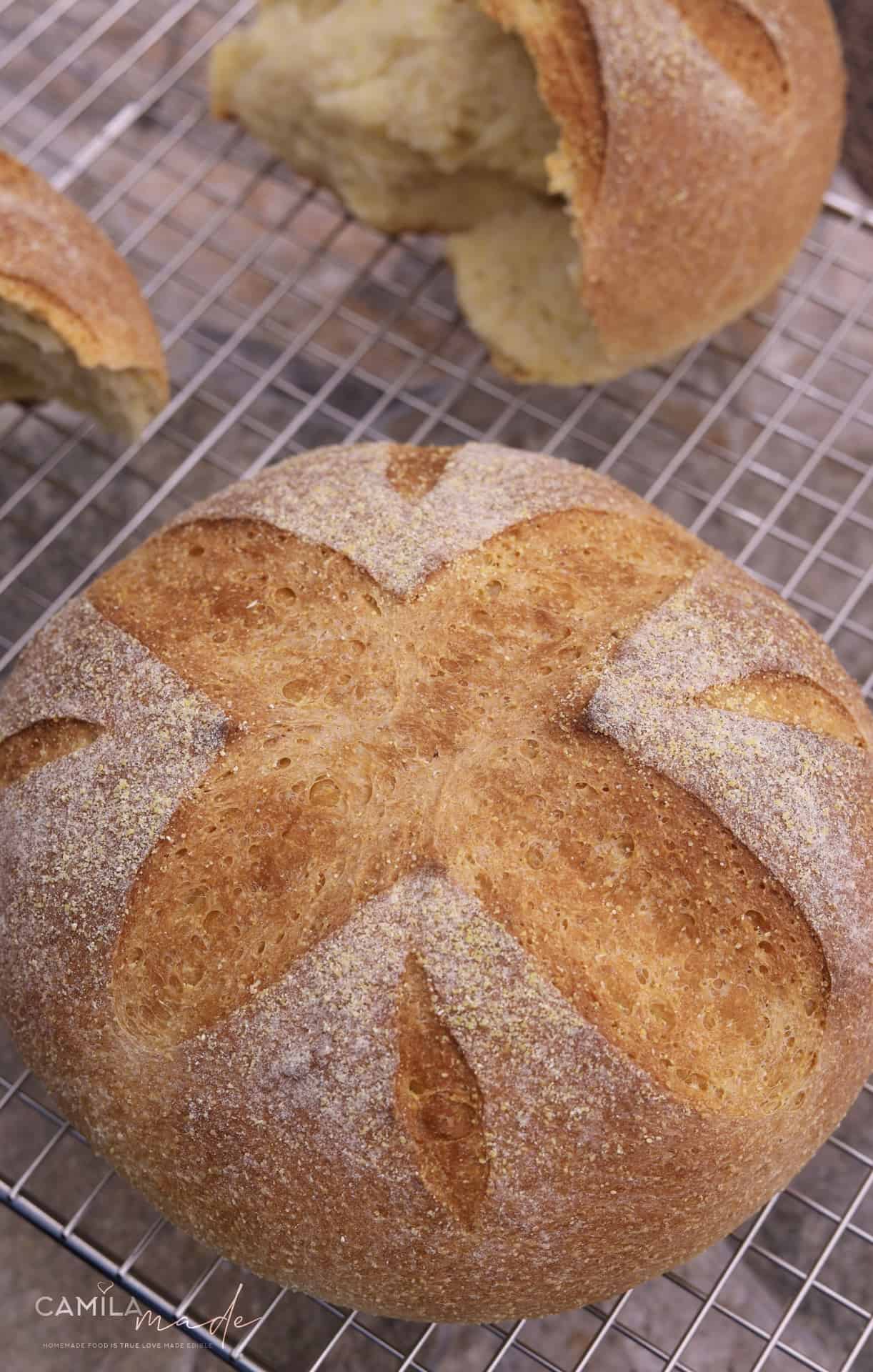 Bread with Cornmeal 23 Bread with Cornmeal 7