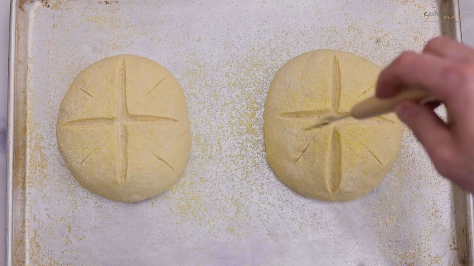 Bread with Cornmeal 21 Still 2024 10 26 173421 1.1.15