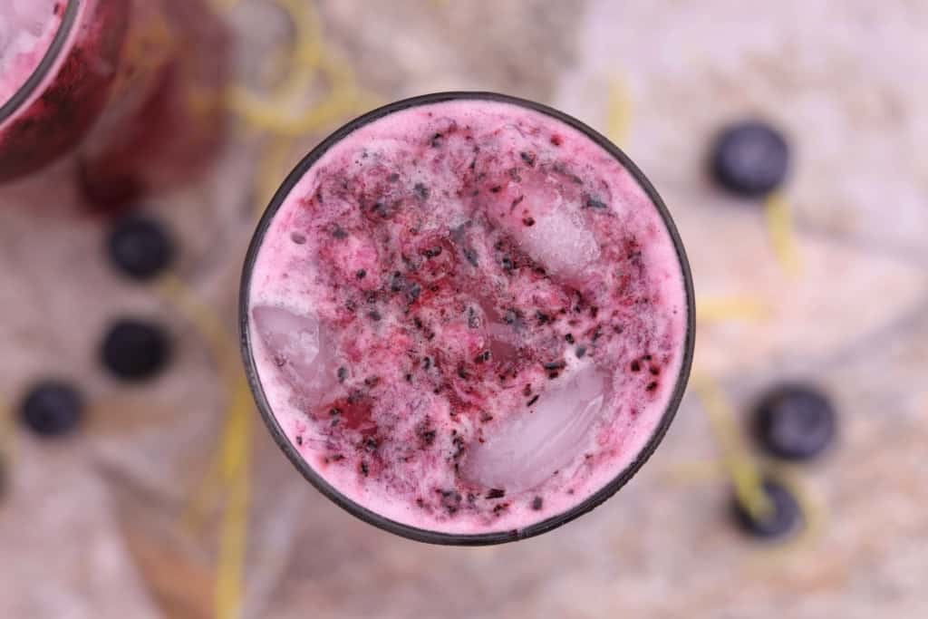 Blueberry Lemonade Camila Made