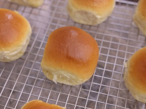 Easy Dinner Rolls 2