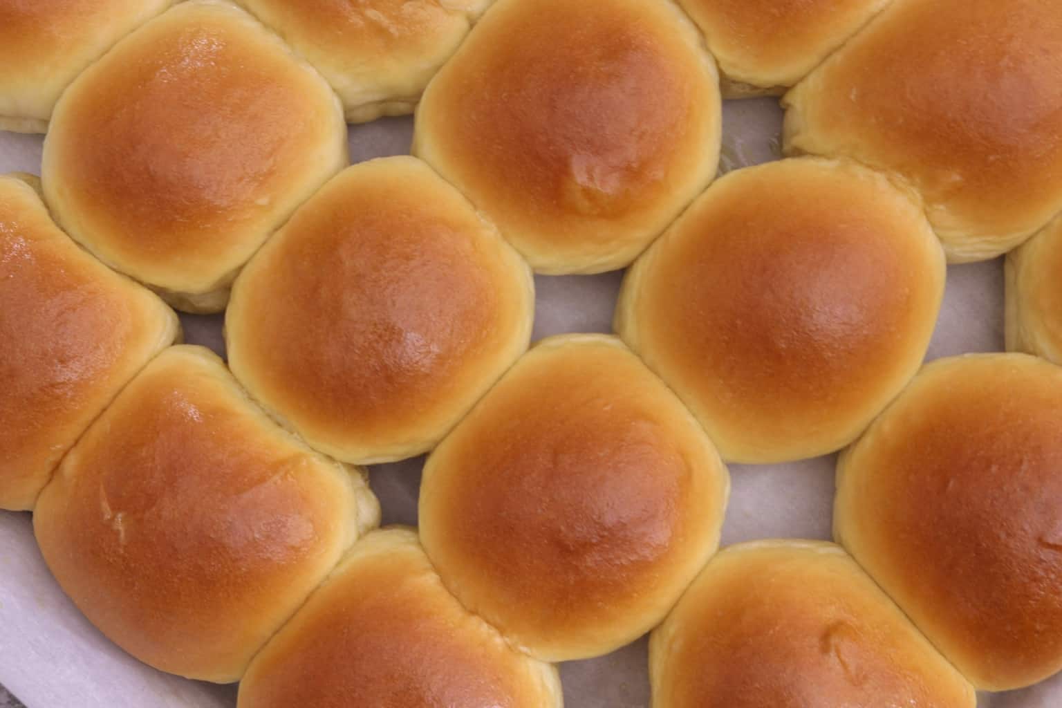 Fluffy 2-Ingredient Dinner Rolls - Camila Made