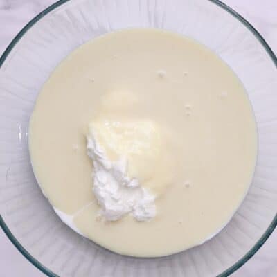 Blend condensed milk, water, and plain yogurt for 2 minutes.