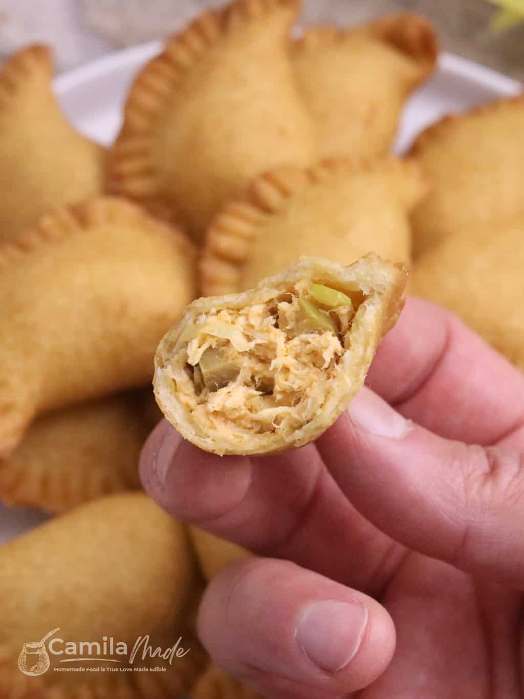 Empanaditas de Pollo