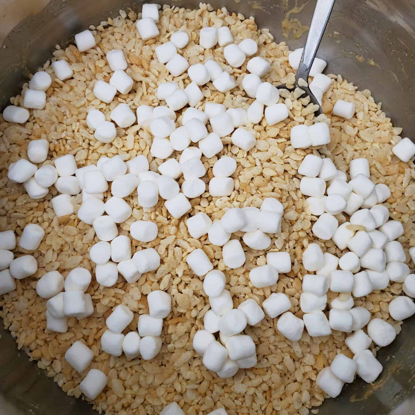 Marshmallow with rice Krispies treats