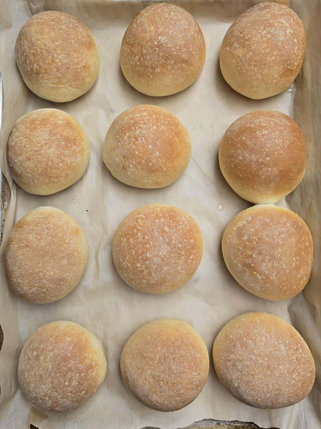 Pancitos Dulces can from the oven