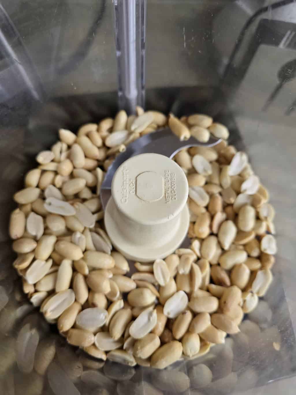 peanut in a food processor