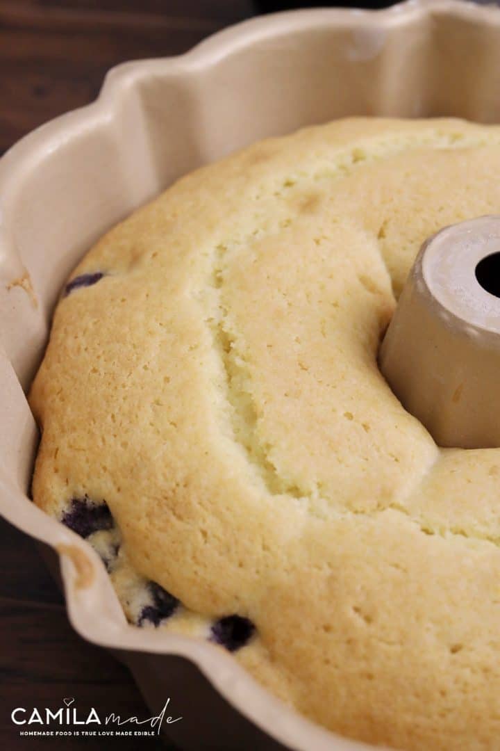 Bundt Cake de arándanos