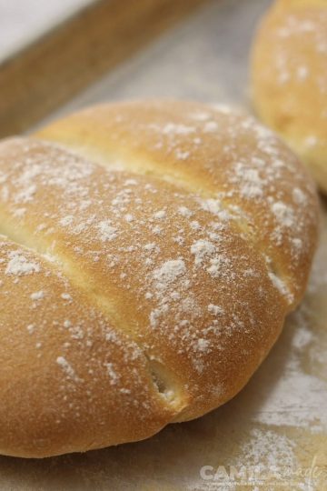 Close up of Teleras