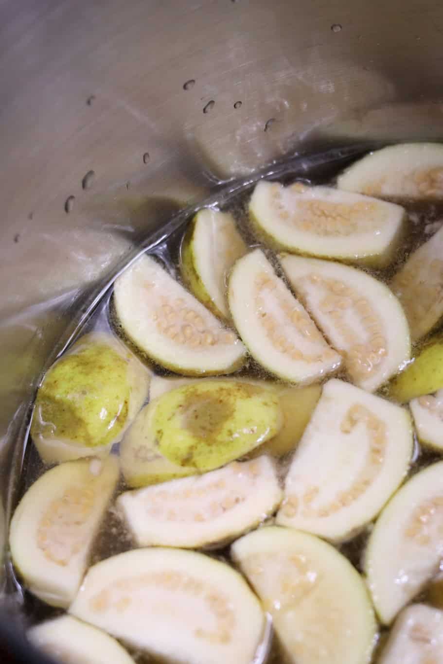 Guayaba in a pot
