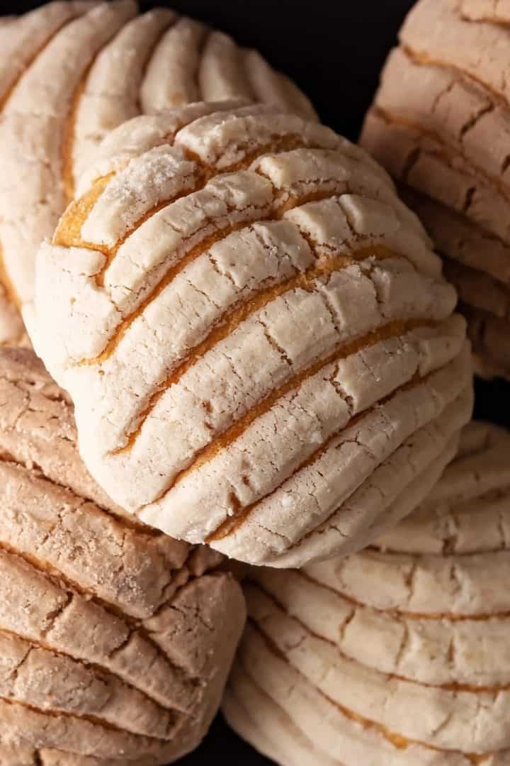 Conchas 10 Conchas Mexicanas over head