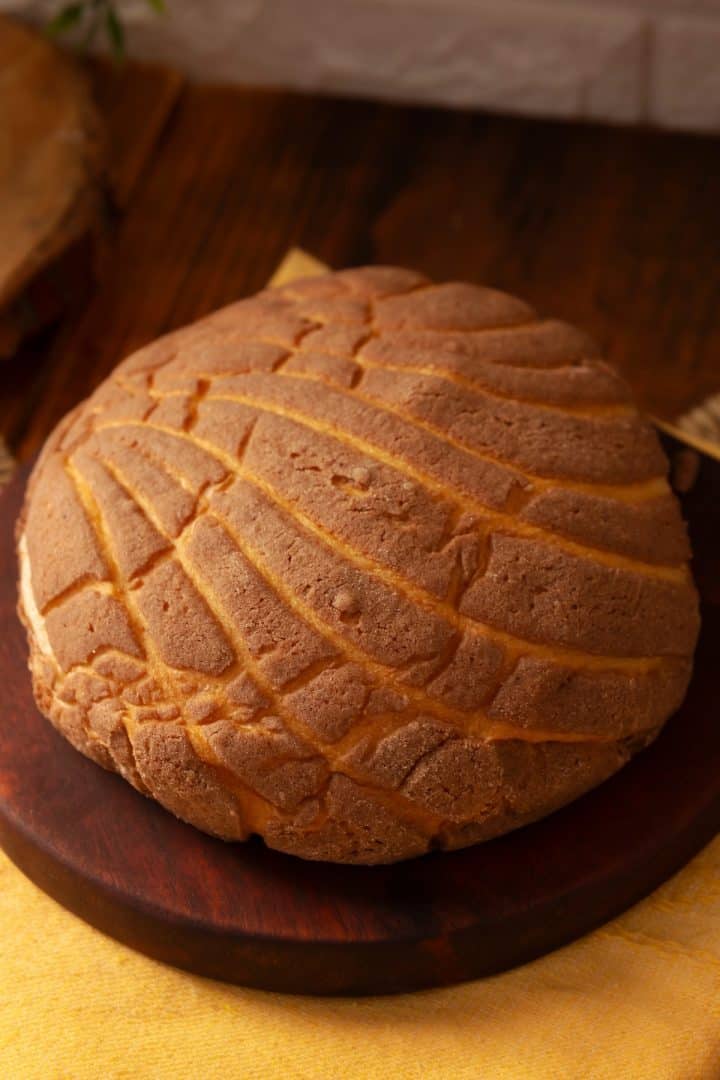 Conchas de Chocolate side view