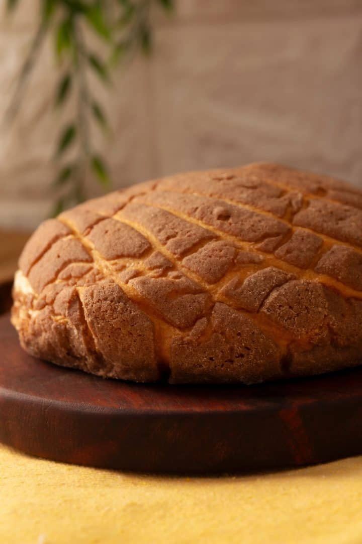 Conchas de Chocolate side view close up
