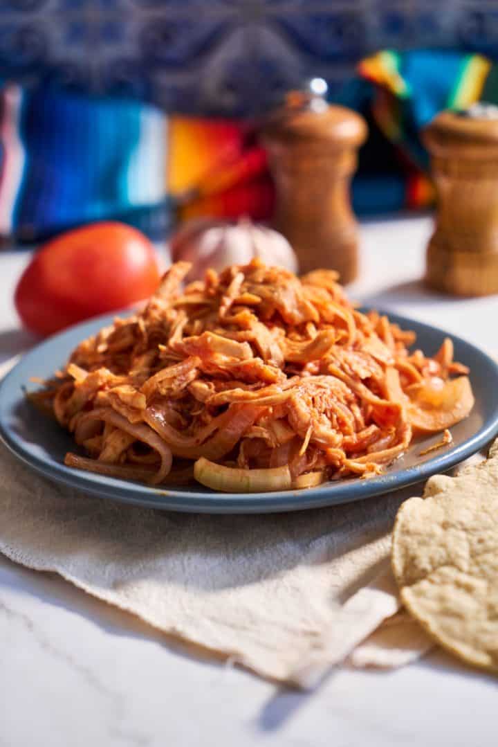 Tinga de Pollo side view