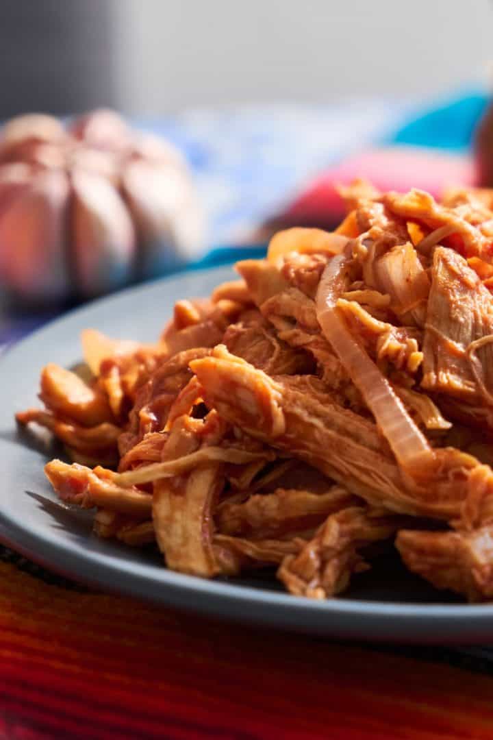 Tinga de Pollo side view close up