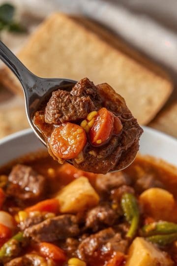 Close-up food photography of a spoon holding tender beef and vegetables above a bowl of carne guisada de res, stew thick and settled on the spoon (no dripping, no motion, no steam). Bee