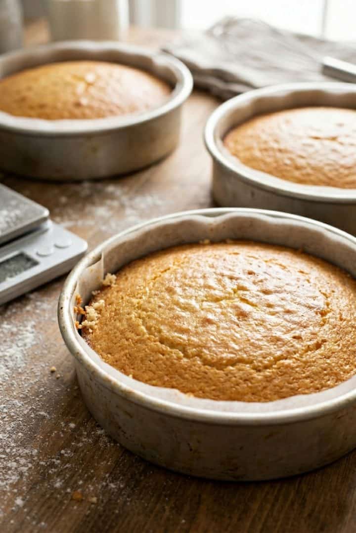 Vanilla Layered Cake 45 angle shot