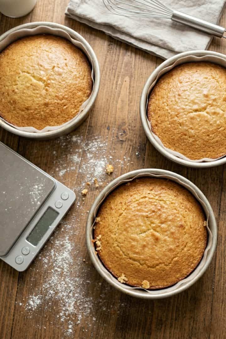 Vanilla Layered Cake Overhead shot